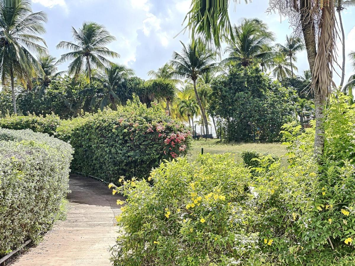 Blue Paradise Studio Avec Acces Privatif Plage Le Gosier  Eksteriør billede